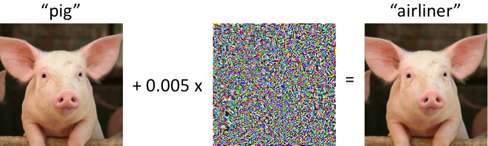 Example of an image where minor perturbations cause misclassification.