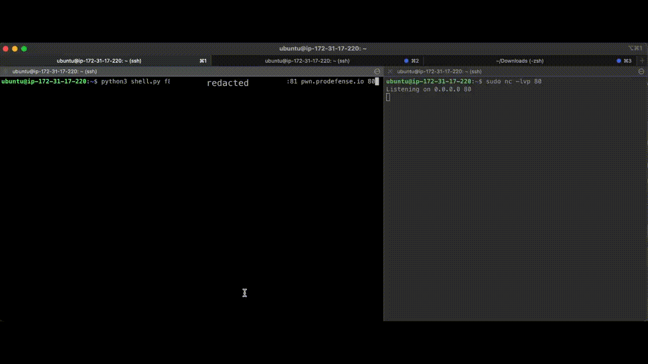 Automated Reverse Shell